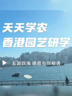 与香港园艺学会联合举办香港园艺研学，专业园境师带队讲解。